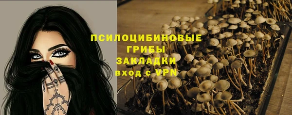 меф Щучье