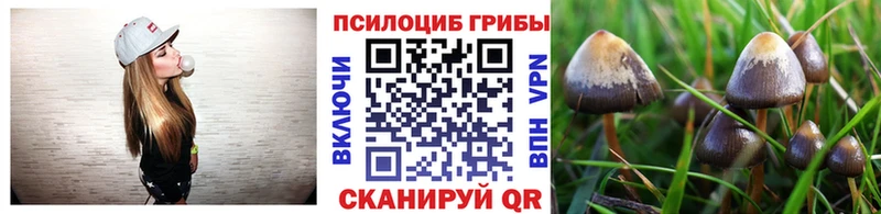 Галлюциногенные грибы мицелий Похвистнево