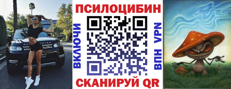 это как зайти  Похвистнево  Галлюциногенные грибы Psilocybine cubensis 