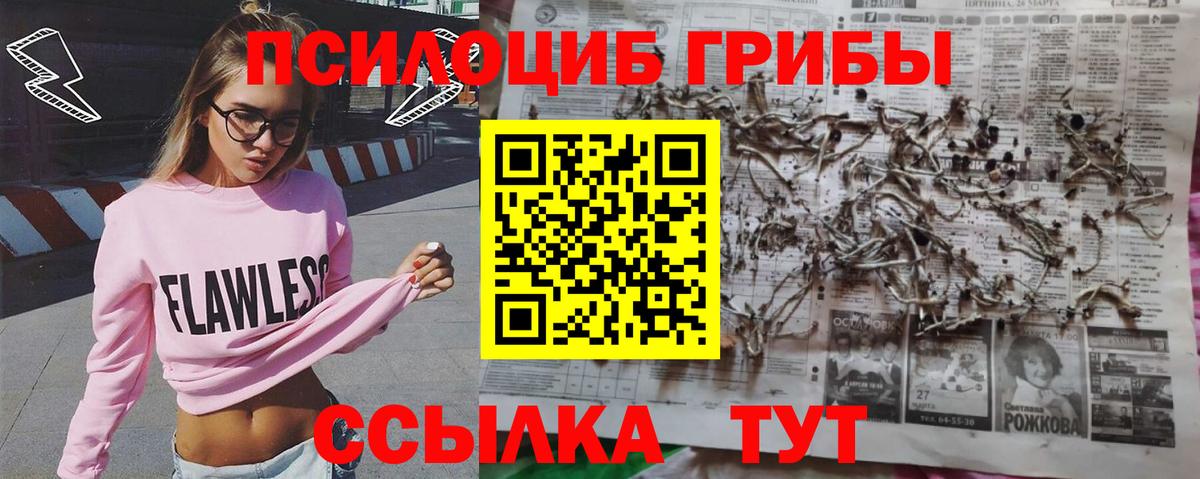 Псилоцибиновые грибы ЛСД  Галлюциногенные грибы GOLDEN TEACHER  Похвистнево  Вход с VPN 