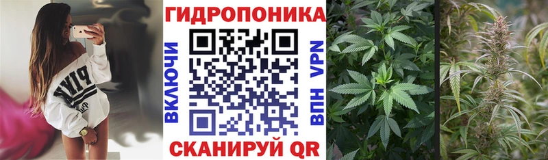 даркнет сайт  мега ССЫЛКА  Шишки марихуана конопля  Похвистнево 